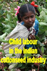 CLICK HERE for more information on CHILD LABOUR IN THE INDIAN COTTONSEED INDUSTRY